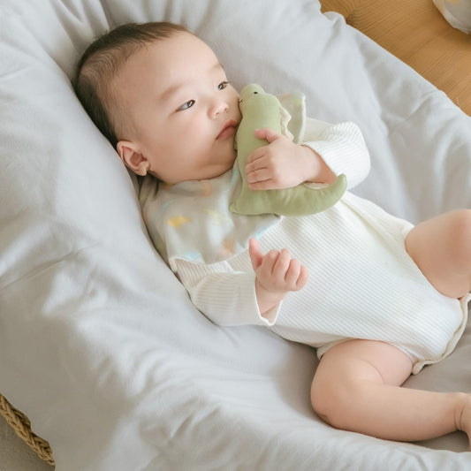 出産祝いギフト スタイとラトルのベビーケーキ Lien de famille 恐竜 (グリーン) チューリップ (ピンク)